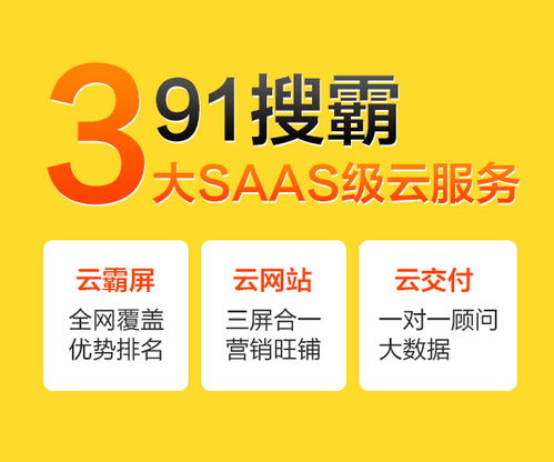 九一搜霸 专注网络推广与互联网信息咨询的专业服务商